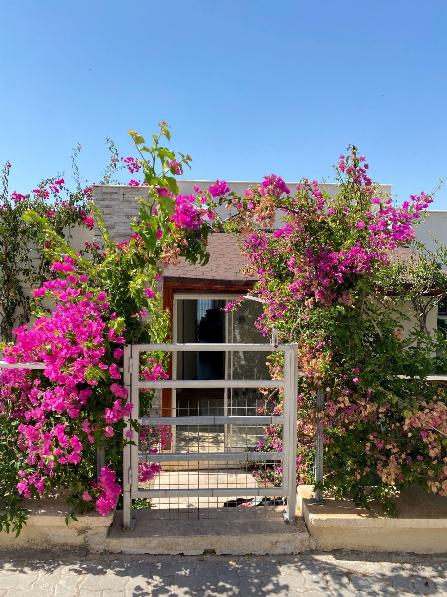 Milas Boğaziçi Adabükü'nde Kesintisiz Full Deniz Manzaralı DaireMuğla, Milas, Boğaziçi - 16