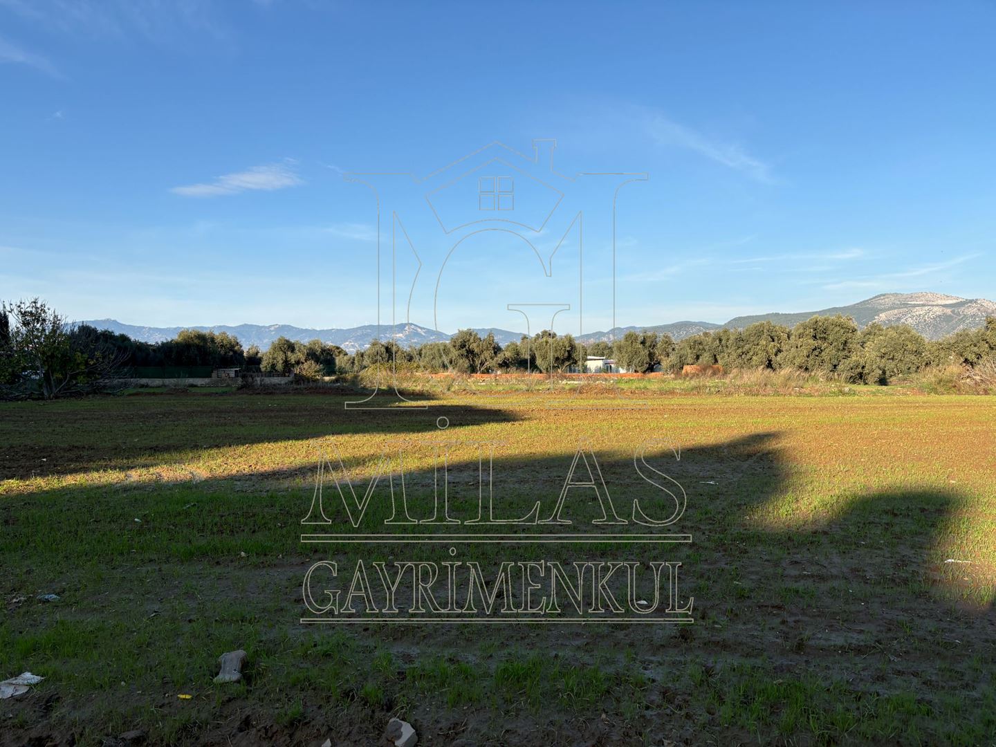 Milas Cumhuriyet Mahallesinde İmar Sınırına Bitişik 6366 M² AraziMuğla, Milas, Cumhuriyet - 15