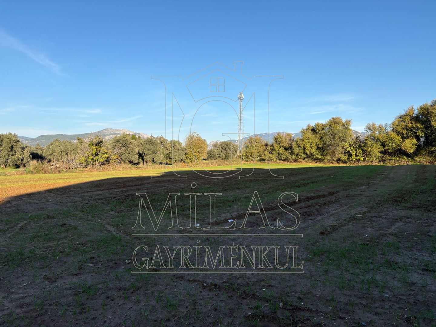 Milas Cumhuriyet Mahallesinde İmar Sınırına Bitişik 6366 M² AraziMuğla, Milas, Cumhuriyet - 18