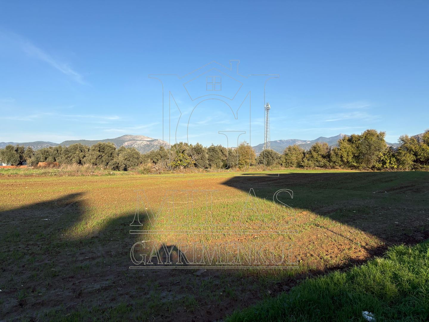 Milas Cumhuriyet Mahallesinde İmar Sınırına Bitişik 6366 M² AraziMuğla, Milas, Cumhuriyet - 16