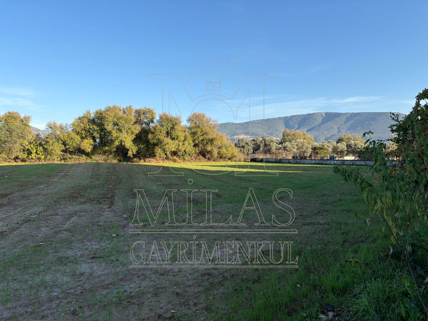Milas Cumhuriyet Mahallesinde İmar Sınırına Bitişik 6366 M² AraziMuğla, Milas, Cumhuriyet - 17