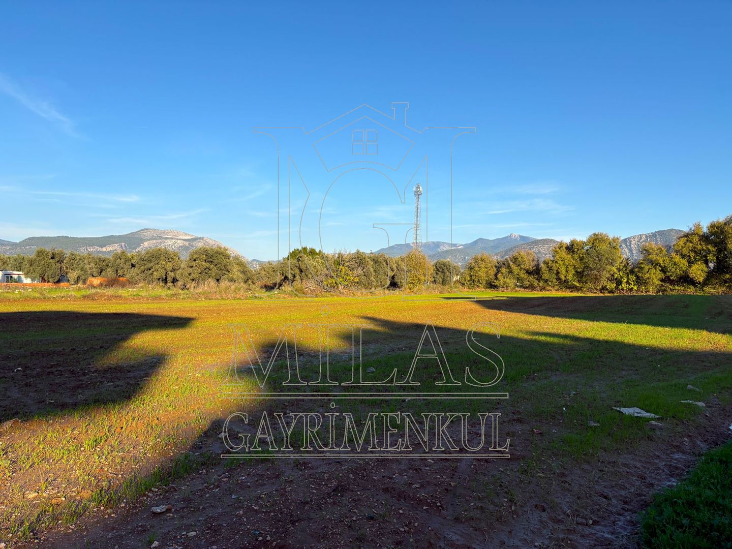 Milas Cumhuriyet Mahallesinde İmar Sınırına Bitişik 6366 M² AraziMuğla, Milas, Cumhuriyet - 23