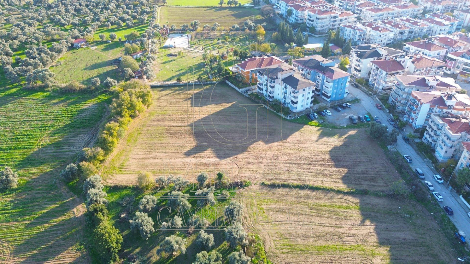 Milas Cumhuriyet Mahallesinde İmar Sınırına Bitişik 6366 M² AraziMuğla, Milas, Cumhuriyet - 5