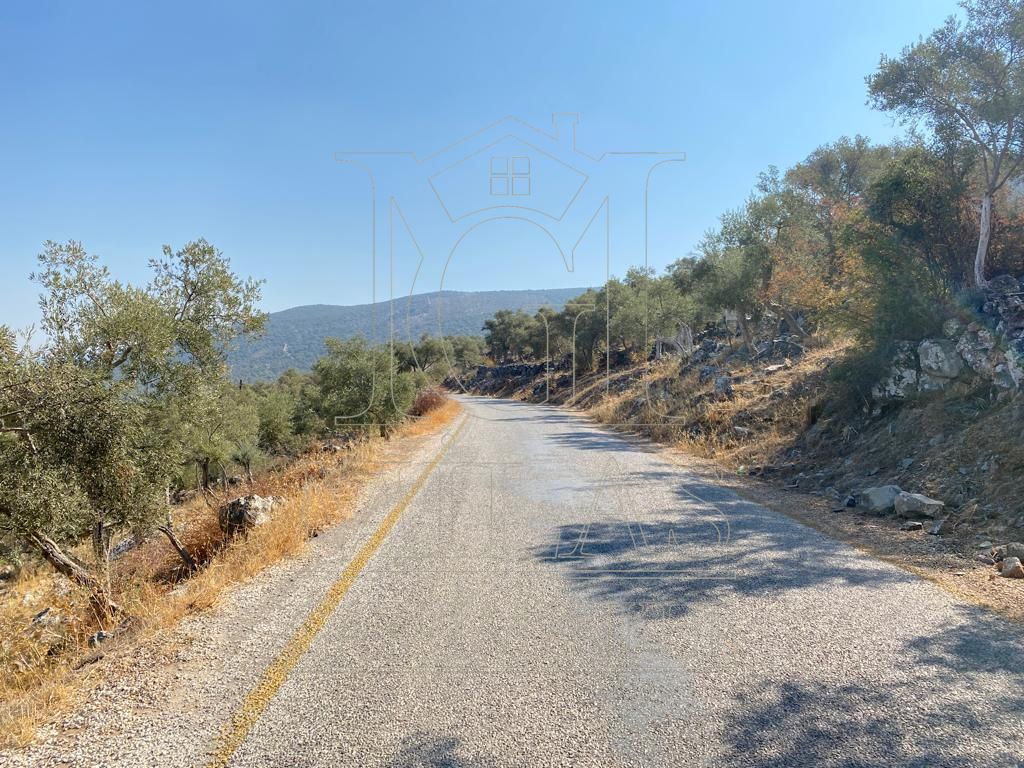 Milas Ovakışlacık'ta Ova Manzaralı Ulaşımı Kolay 84 Dönüm Satılık AraziMuğla, Milas, Ovakışlacık - 8