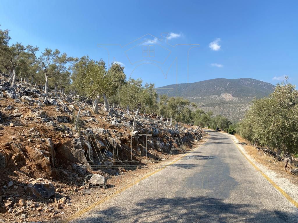 Milas Ovakışlacık'ta Ova Manzaralı Ulaşımı Kolay 84 Dönüm Satılık AraziMuğla, Milas, Ovakışlacık - 2