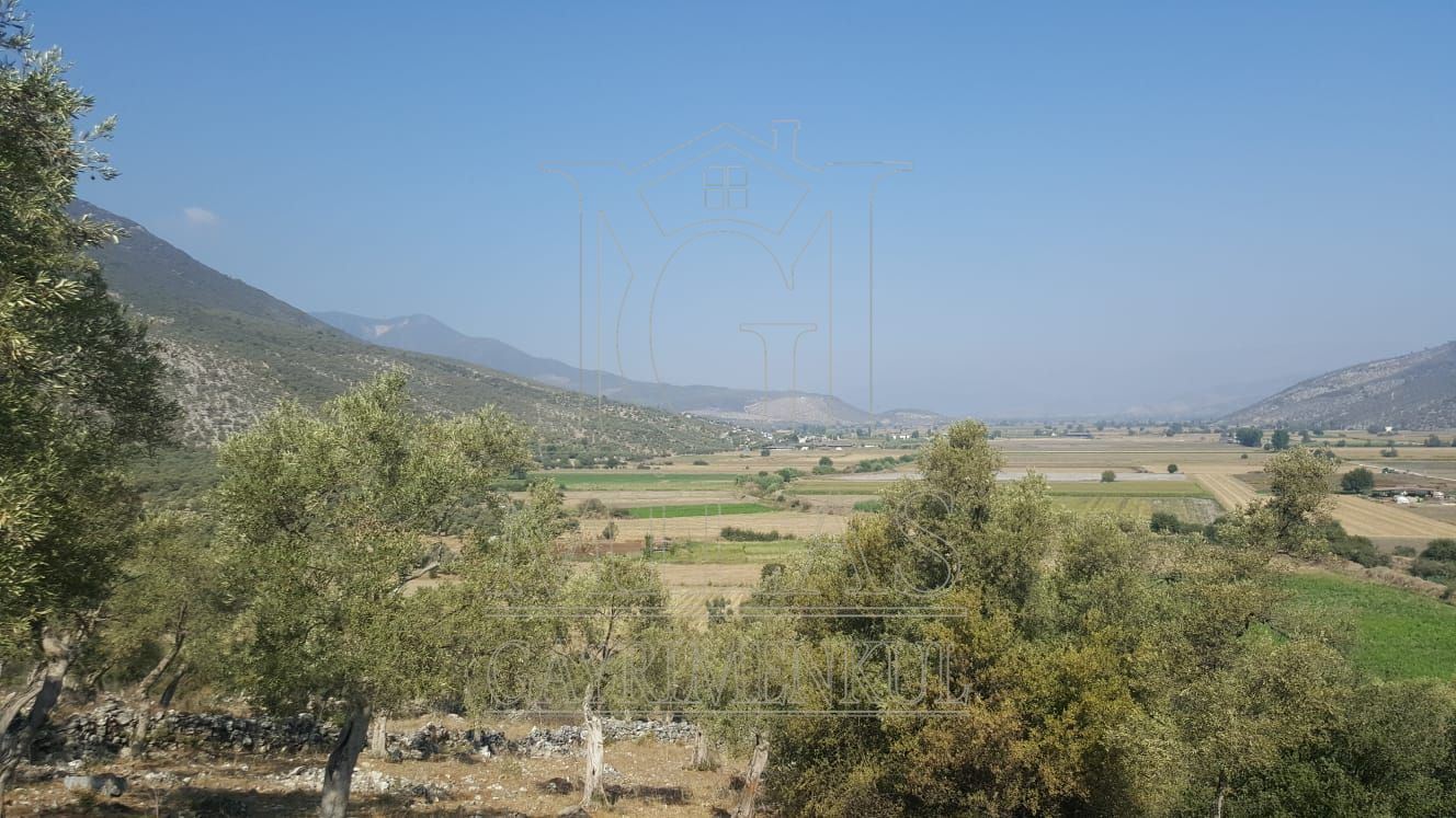 Milas Ovakışlacık'ta Ova Manzaralı Ulaşımı Kolay 84 Dönüm Satılık AraziMuğla, Milas, Ovakışlacık - 3