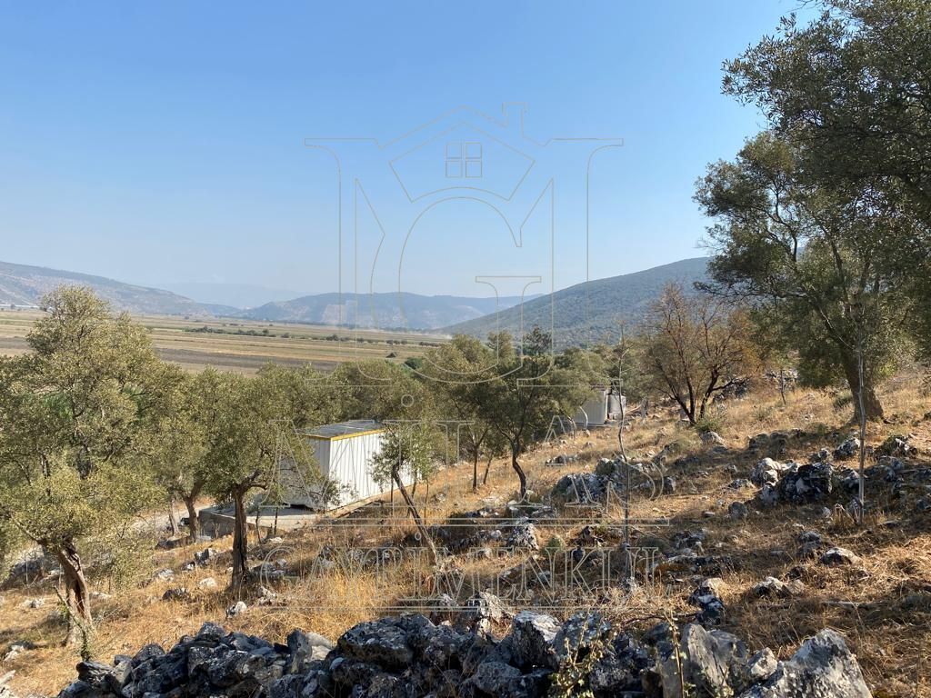 Milas Ovakışlacık'ta Ova Manzaralı Ulaşımı Kolay 84 Dönüm Satılık AraziMuğla, Milas, Ovakışlacık - 6