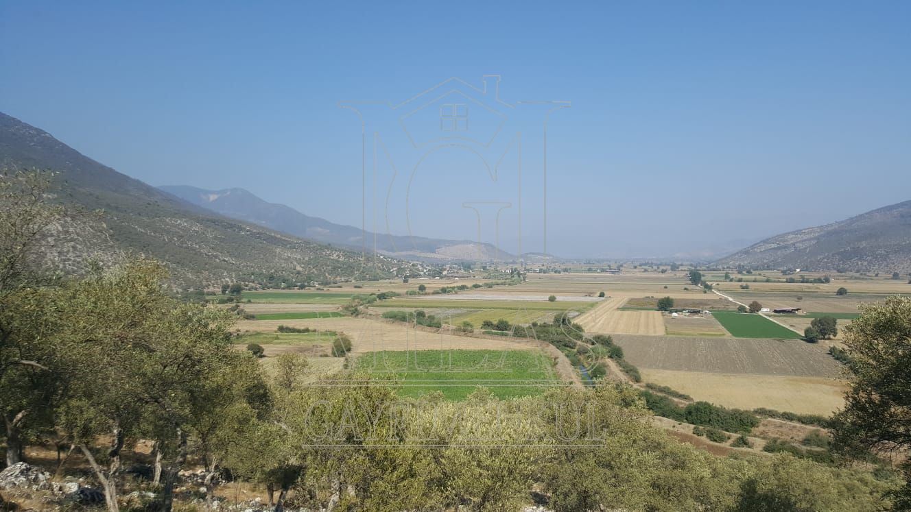 Milas Ovakışlacık'ta Ova Manzaralı Ulaşımı Kolay 84 Dönüm Satılık AraziMuğla, Milas, Ovakışlacık - 7