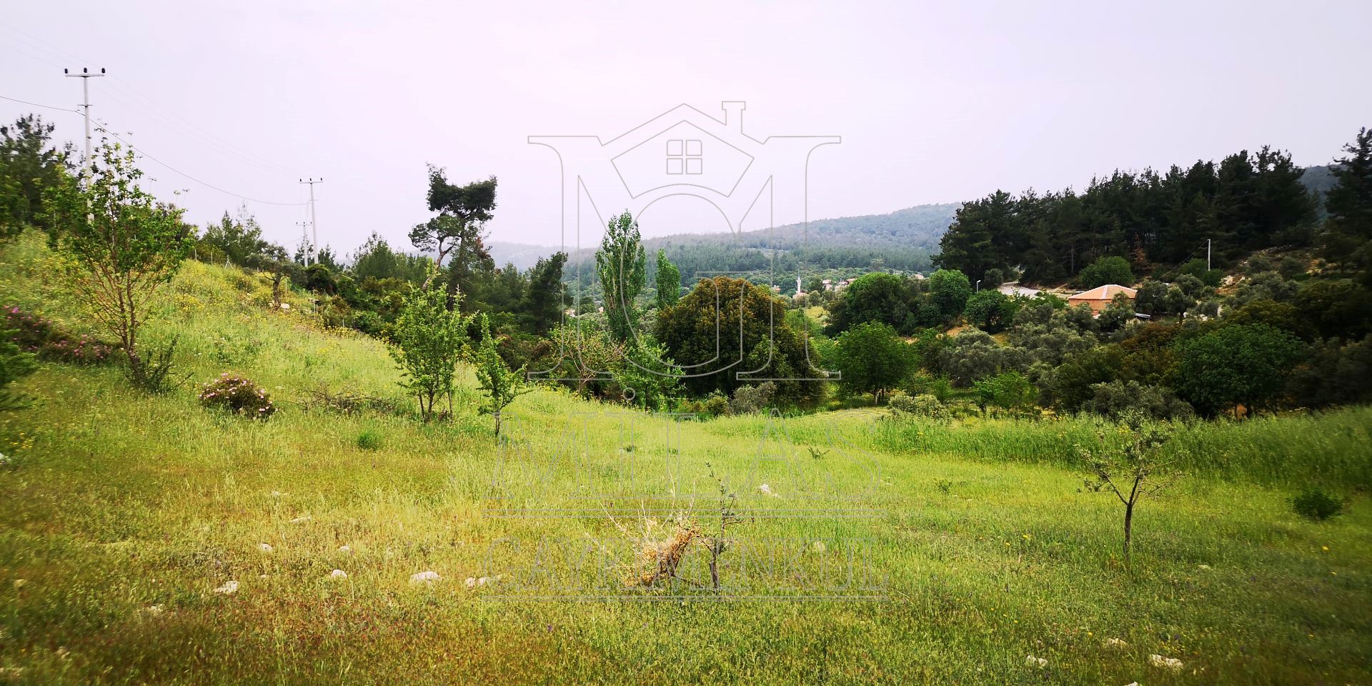 MİLAS ÖREN YOLUNA YAKIN DERE KENARI 14548M2 ÇİFTLİK EVİ VE ARAZİMuğla, Milas, Aslanyaka - 35