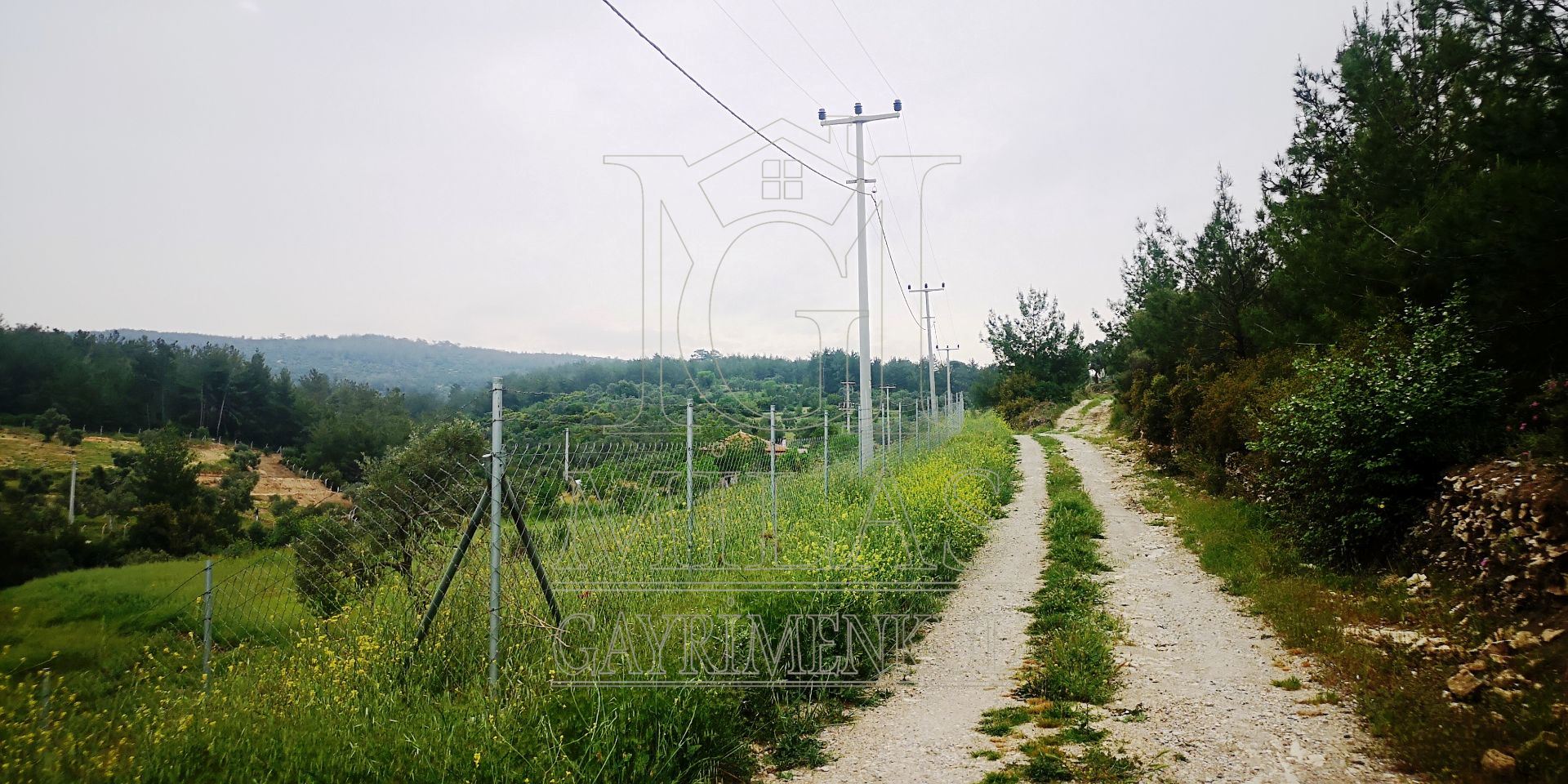 MİLAS ÖREN YOLUNA YAKIN DERE KENARI 14548M2 ÇİFTLİK EVİ VE ARAZİMuğla, Milas, Aslanyaka - 27