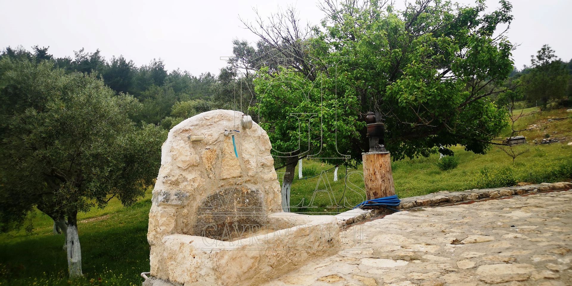 MİLAS ÖREN YOLUNA YAKIN DERE KENARI 14548M2 ÇİFTLİK EVİ VE ARAZİMuğla, Milas, Aslanyaka - 23