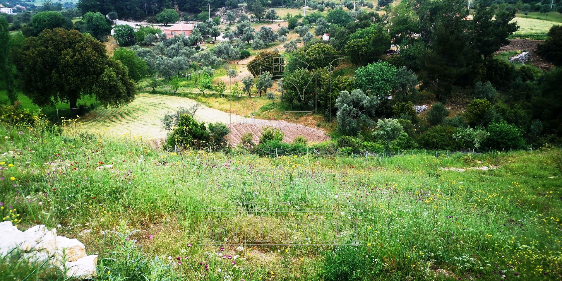 MİLAS ÖREN YOLUNA YAKIN DERE KENARI 14548M2 ÇİFTLİK EVİ VE ARAZİMuğla, Milas, Aslanyaka - 29