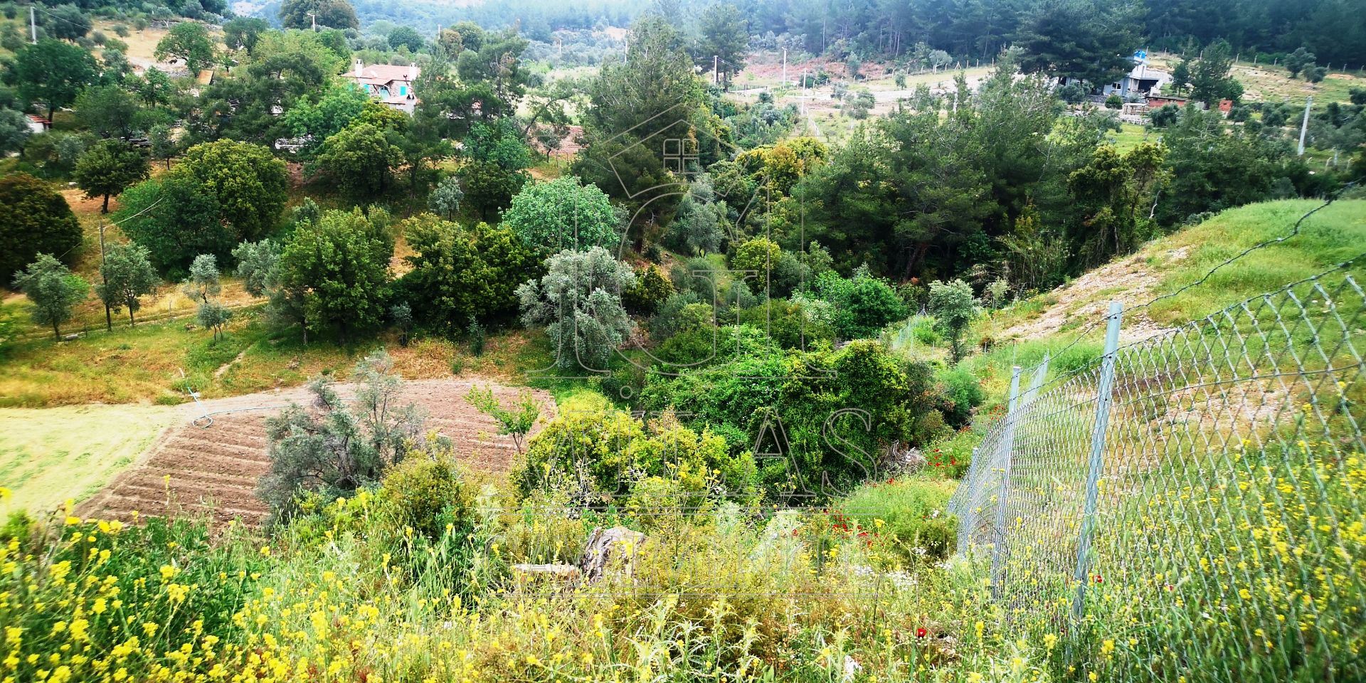 MİLAS ÖREN YOLUNA YAKIN DERE KENARI 14548M2 ÇİFTLİK EVİ VE ARAZİMuğla, Milas, Aslanyaka - 30