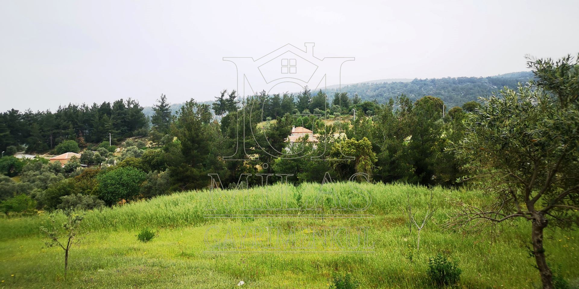 MİLAS ÖREN YOLUNA YAKIN DERE KENARI 14548M2 ÇİFTLİK EVİ VE ARAZİMuğla, Milas, Aslanyaka - 38