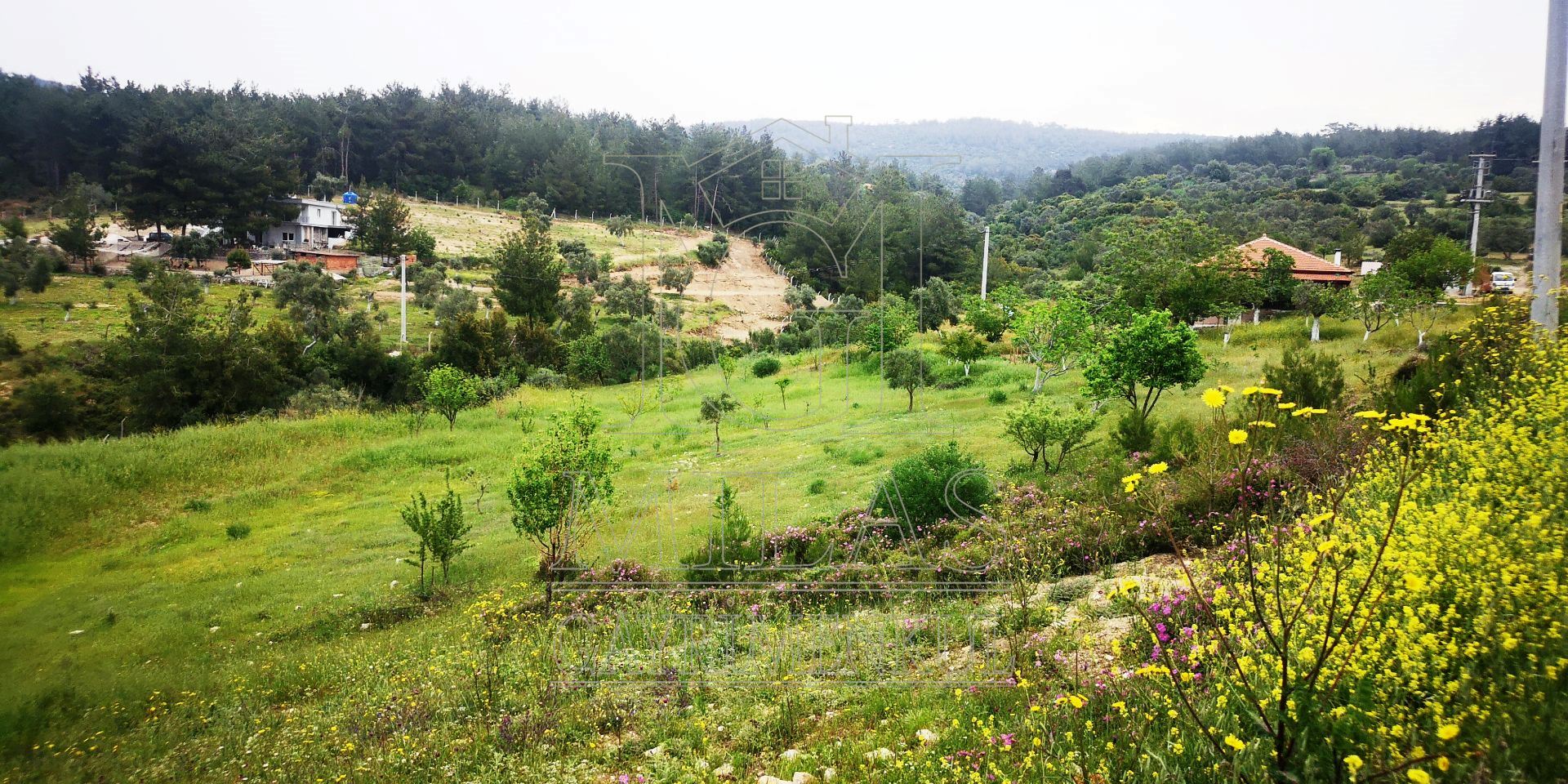 MİLAS ÖREN YOLUNA YAKIN DERE KENARI 14548M2 ÇİFTLİK EVİ VE ARAZİMuğla, Milas, Aslanyaka - 26