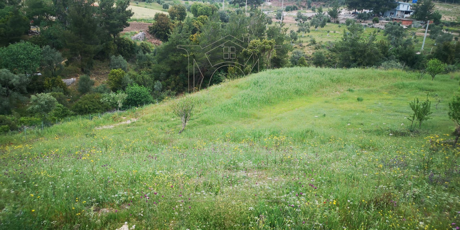 MİLAS ÖREN YOLUNA YAKIN DERE KENARI 14548M2 ÇİFTLİK EVİ VE ARAZİMuğla, Milas, Aslanyaka - 31