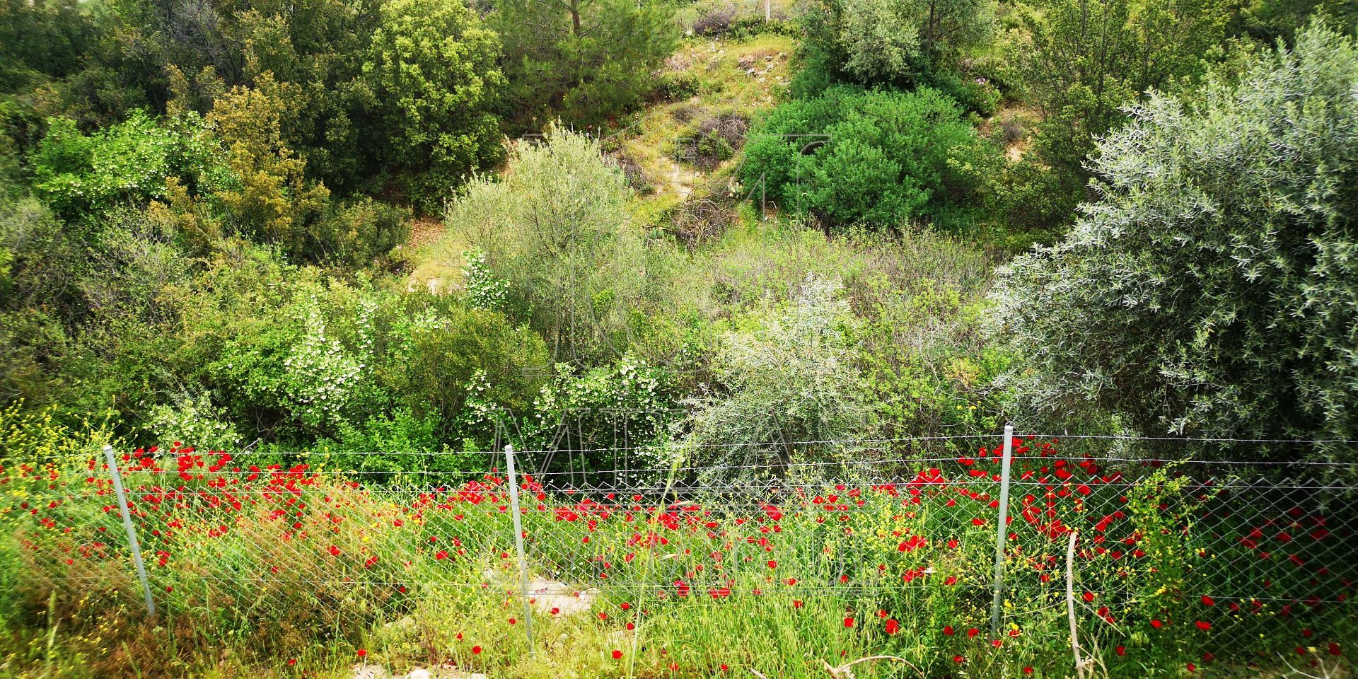 MİLAS ÖREN YOLUNA YAKIN DERE KENARI 14548M2 ÇİFTLİK EVİ VE ARAZİMuğla, Milas, Aslanyaka - 34