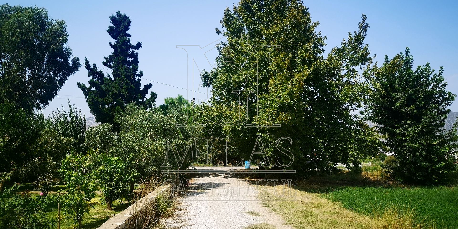 Gökovanın İncisi Ören'de Denize Sıfır 7757 m² Konut İmarlı ArsaMuğla, Milas, Ören - 15