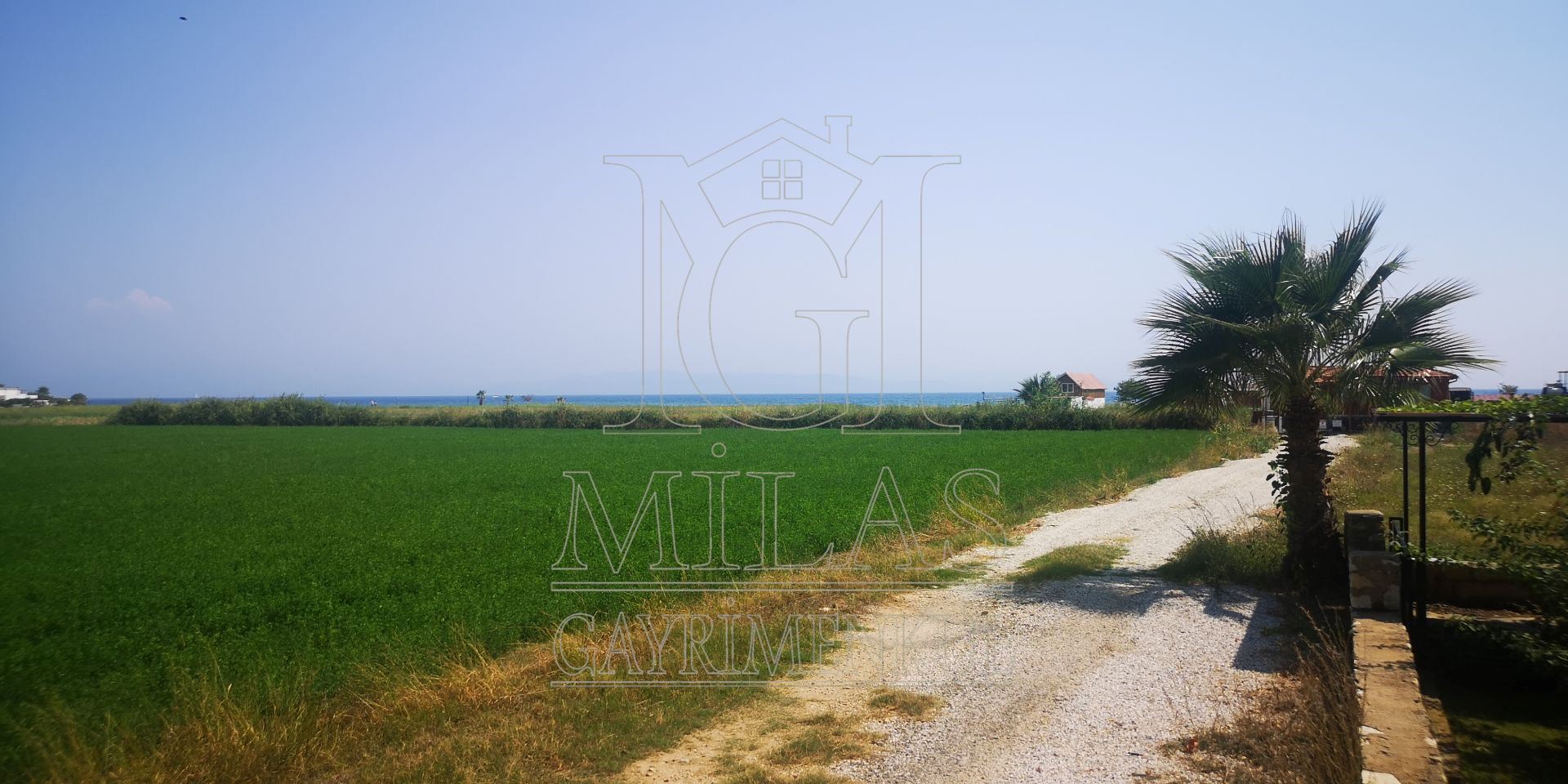 Gökovanın İncisi Ören'de Denize Sıfır 7757 m² Konut İmarlı ArsaMuğla, Milas, Ören - 13