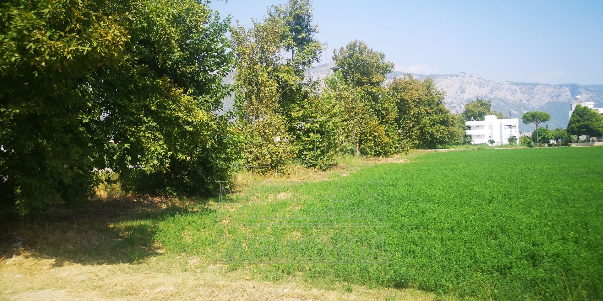 Gökovanın İncisi Ören'de Denize Sıfır 7757 m² Konut İmarlı ArsaMuğla, Milas, Ören - 16