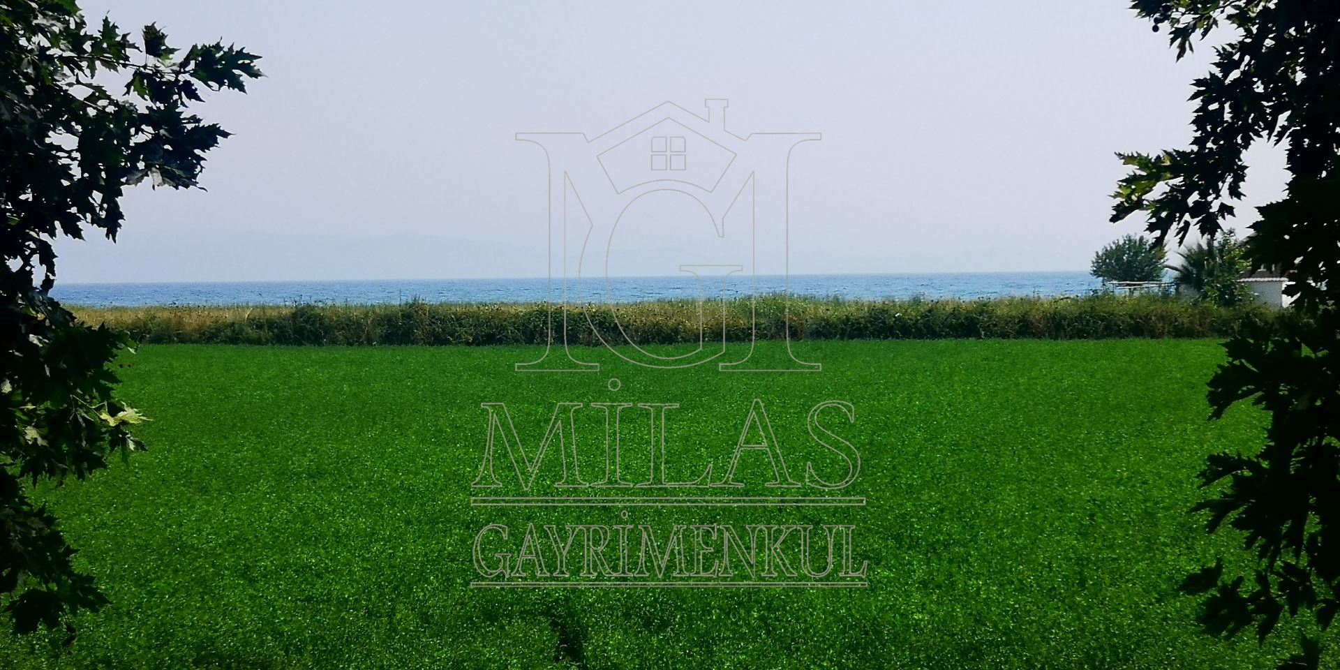 Gökovanın İncisi Ören'de Denize Sıfır 7757 m² Konut İmarlı ArsaMuğla, Milas, Ören - 17