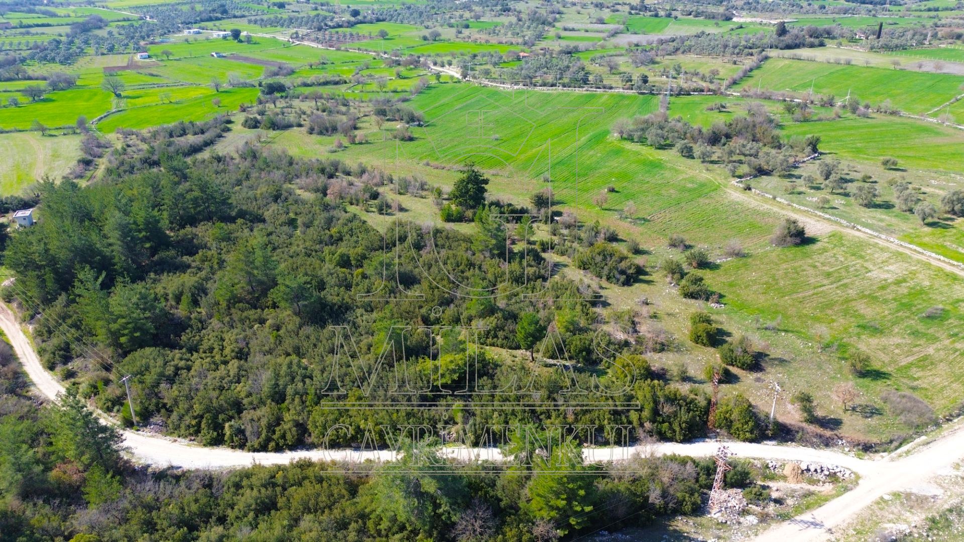 Milas Çamköy'de 35 Dönüm Satılık Çiftlik ArazisiMuğla, Milas, Çamköy - 11