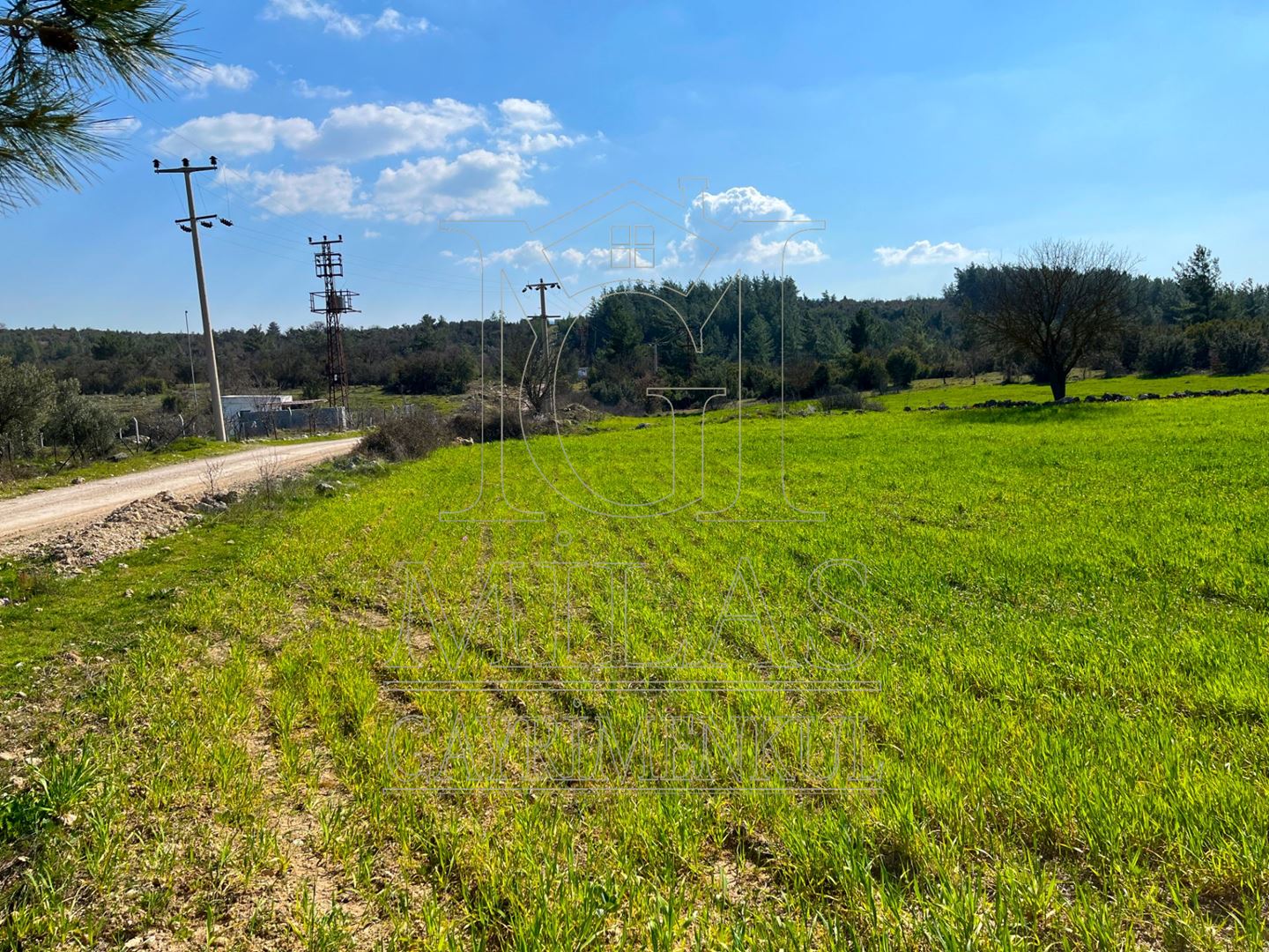 Milas Çamköy'de 35 Dönüm Satılık Çiftlik ArazisiMuğla, Milas, Çamköy - 29