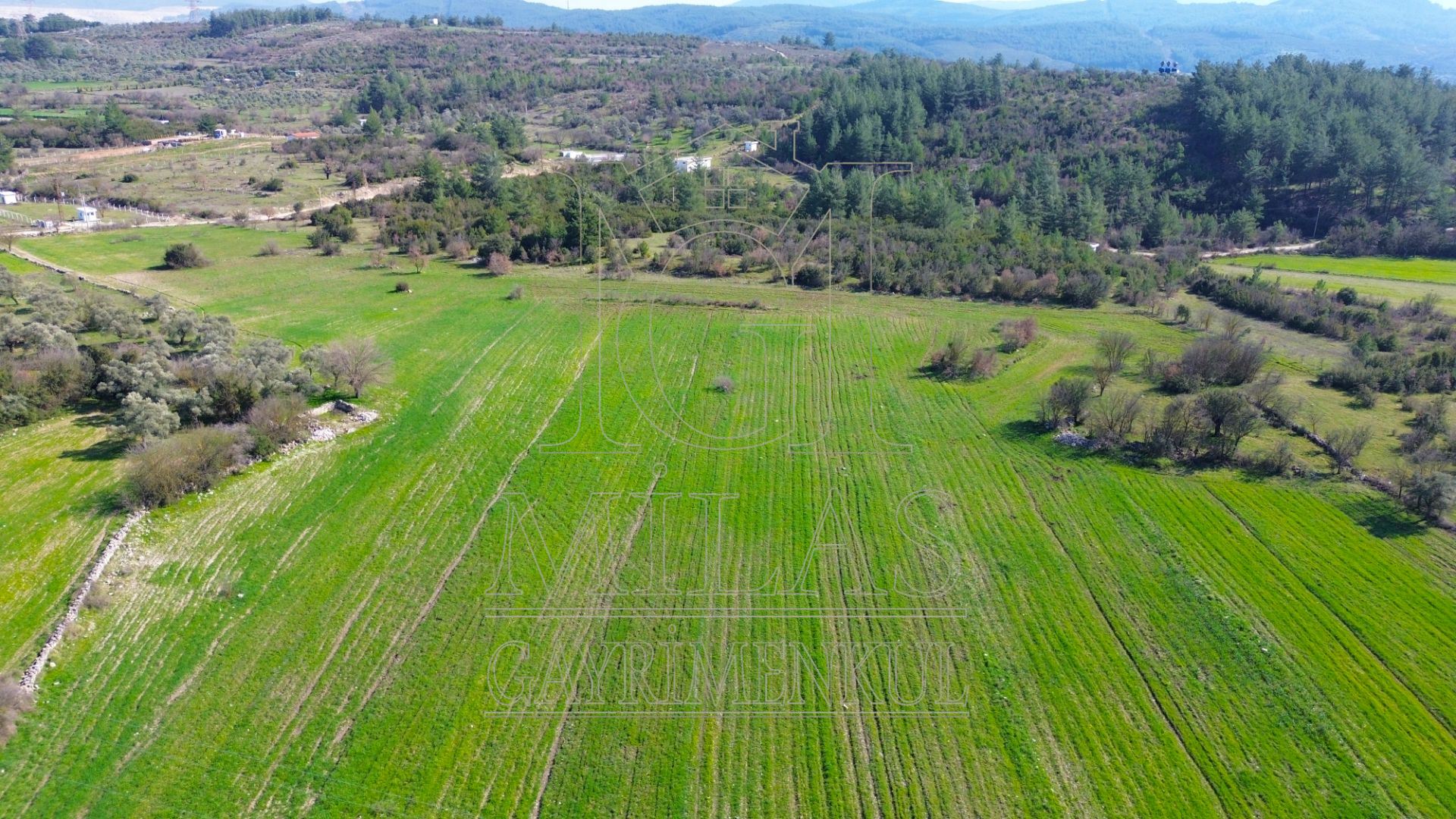 Milas Çamköy'de 35 Dönüm Satılık Çiftlik ArazisiMuğla, Milas, Çamköy - 16