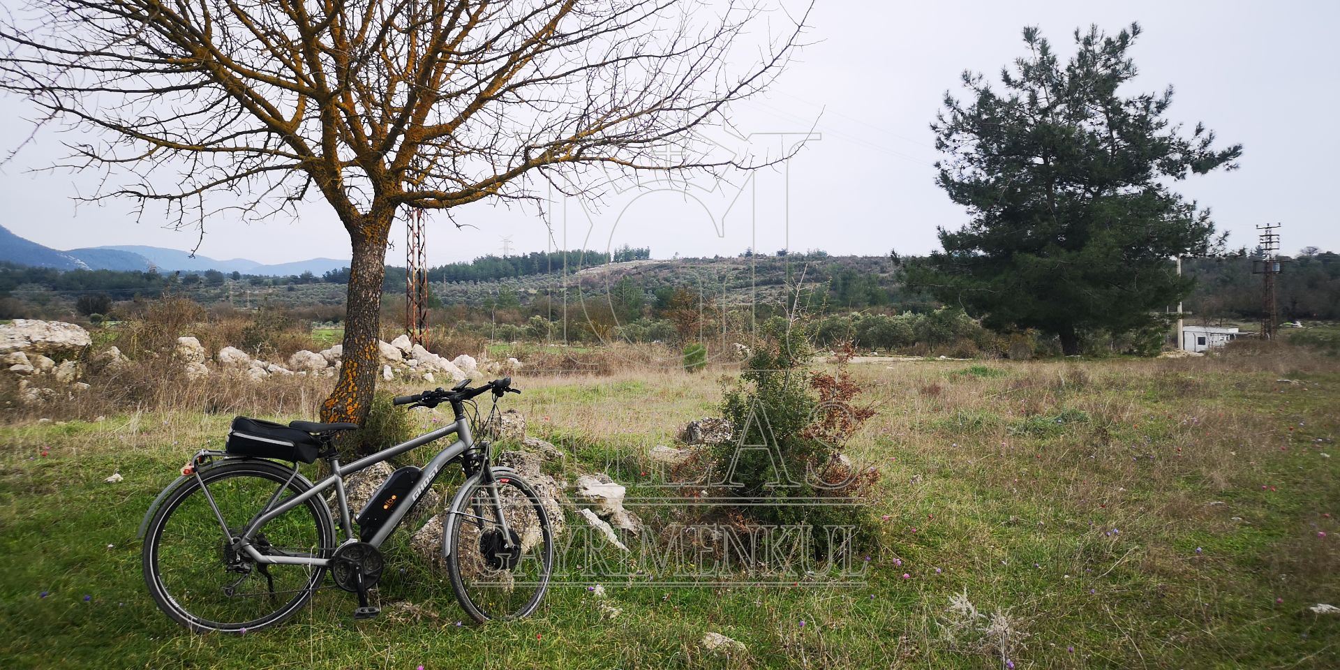 Milas Çamköy'de 35 Dönüm Satılık Çiftlik ArazisiMuğla, Milas, Çamköy - 25