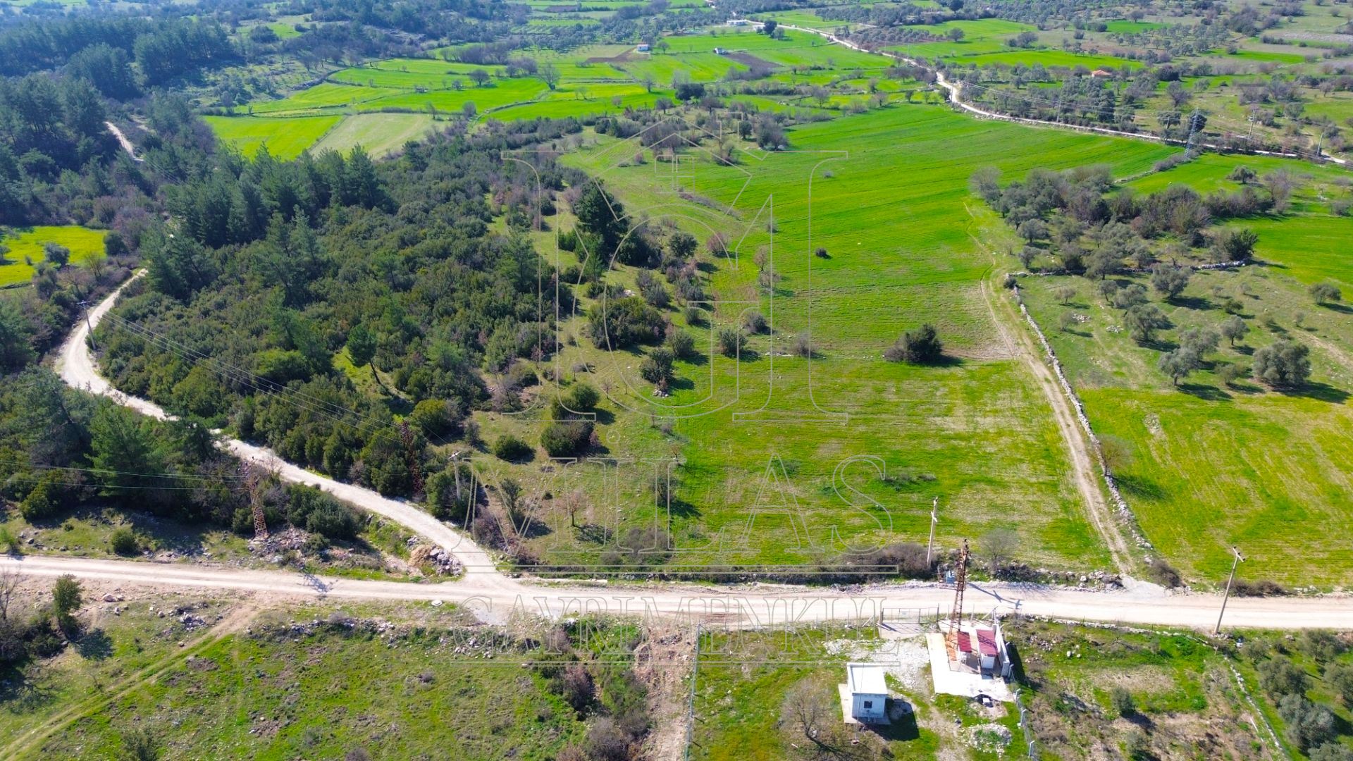 Milas Çamköy'de 35 Dönüm Satılık Çiftlik ArazisiMuğla, Milas, Çamköy - 7