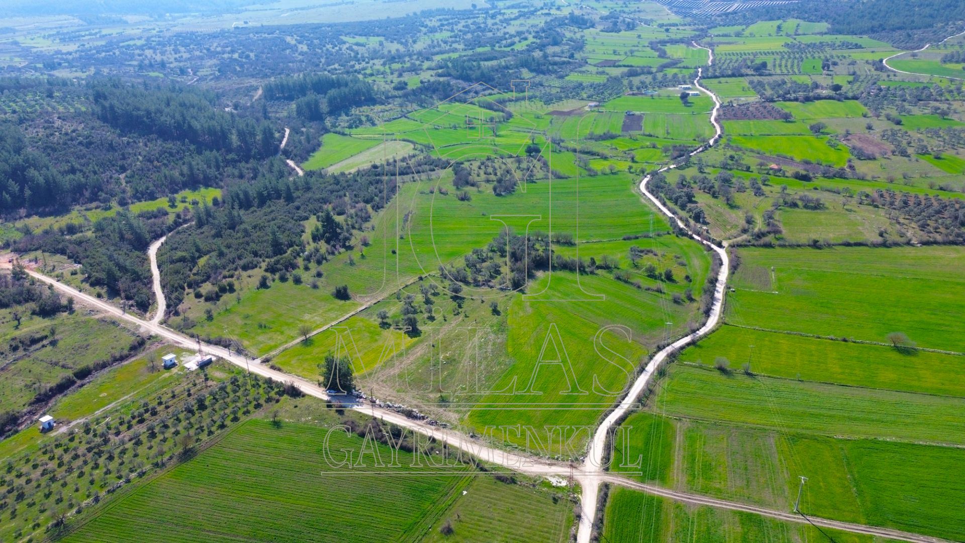 Milas Çamköy'de 35 Dönüm Satılık Çiftlik ArazisiMuğla, Milas, Çamköy