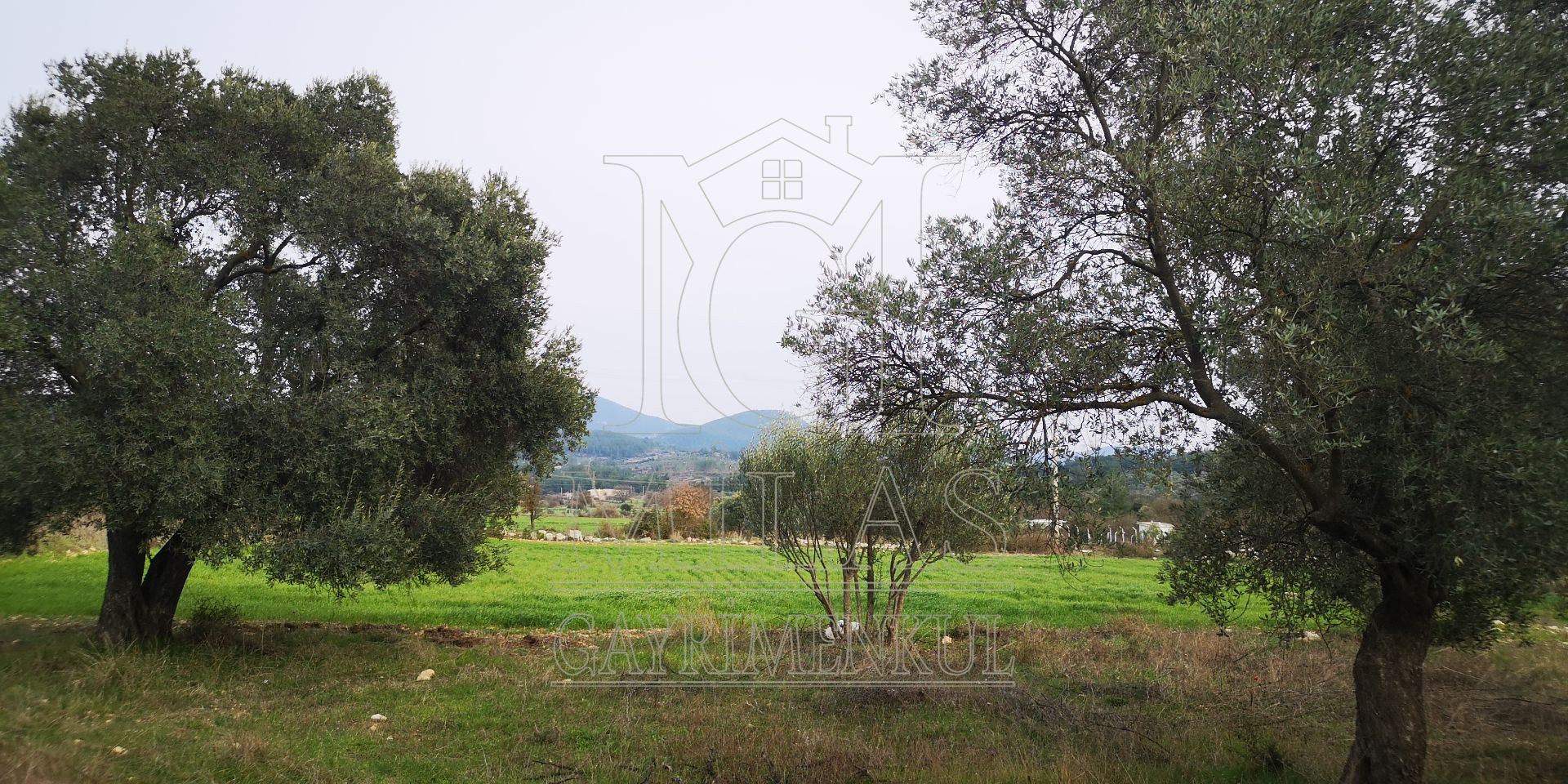 Milas Çamköy'de 35 Dönüm Satılık Çiftlik ArazisiMuğla, Milas, Çamköy - 26