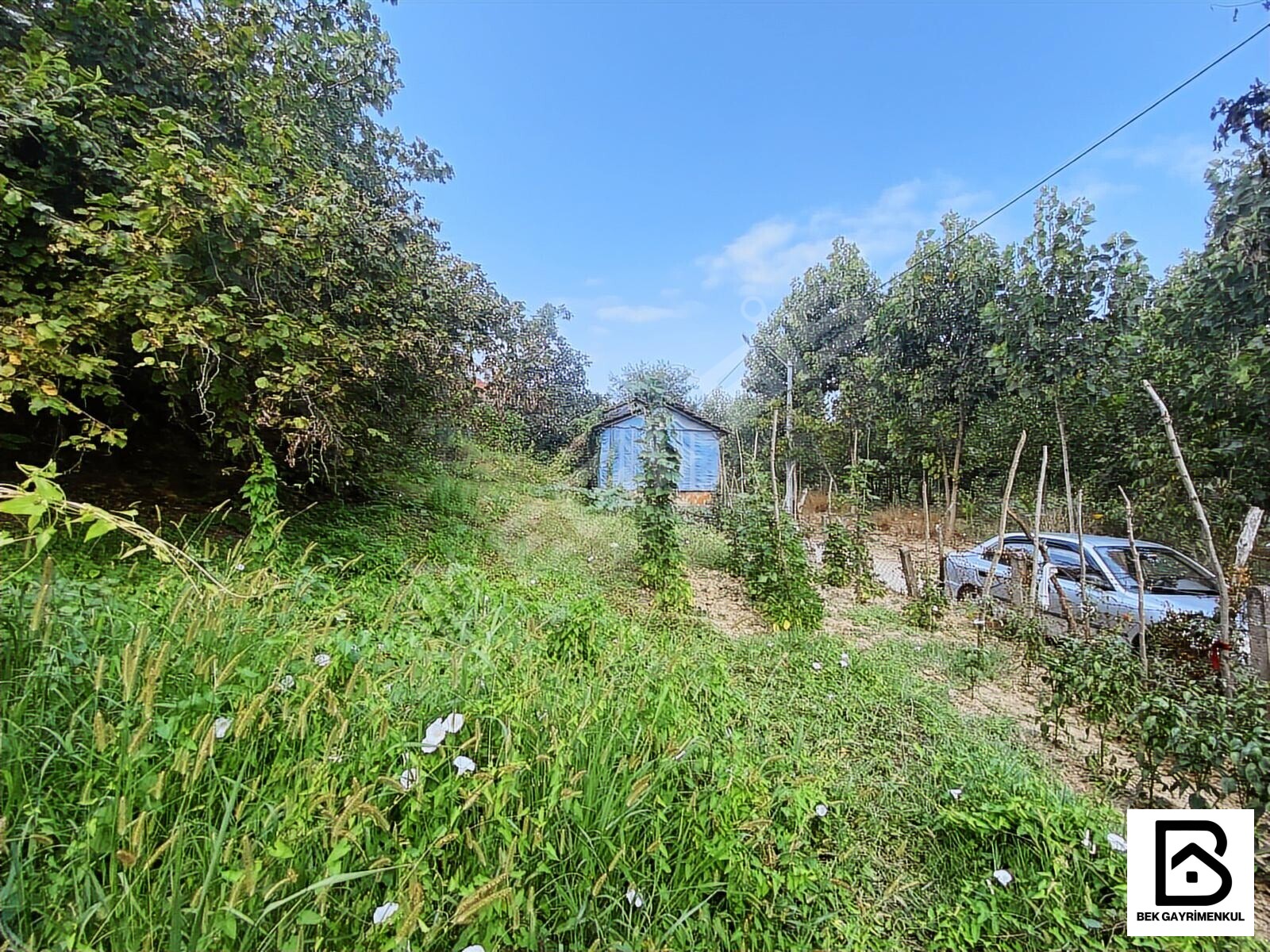 İlan Görseli 4