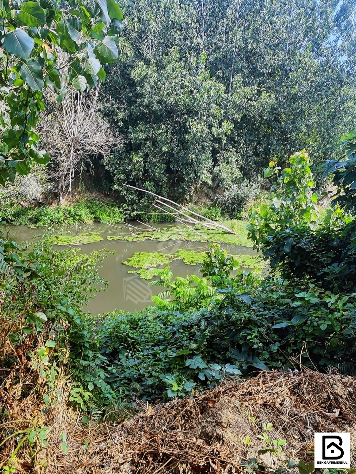 İlan Görseli 12