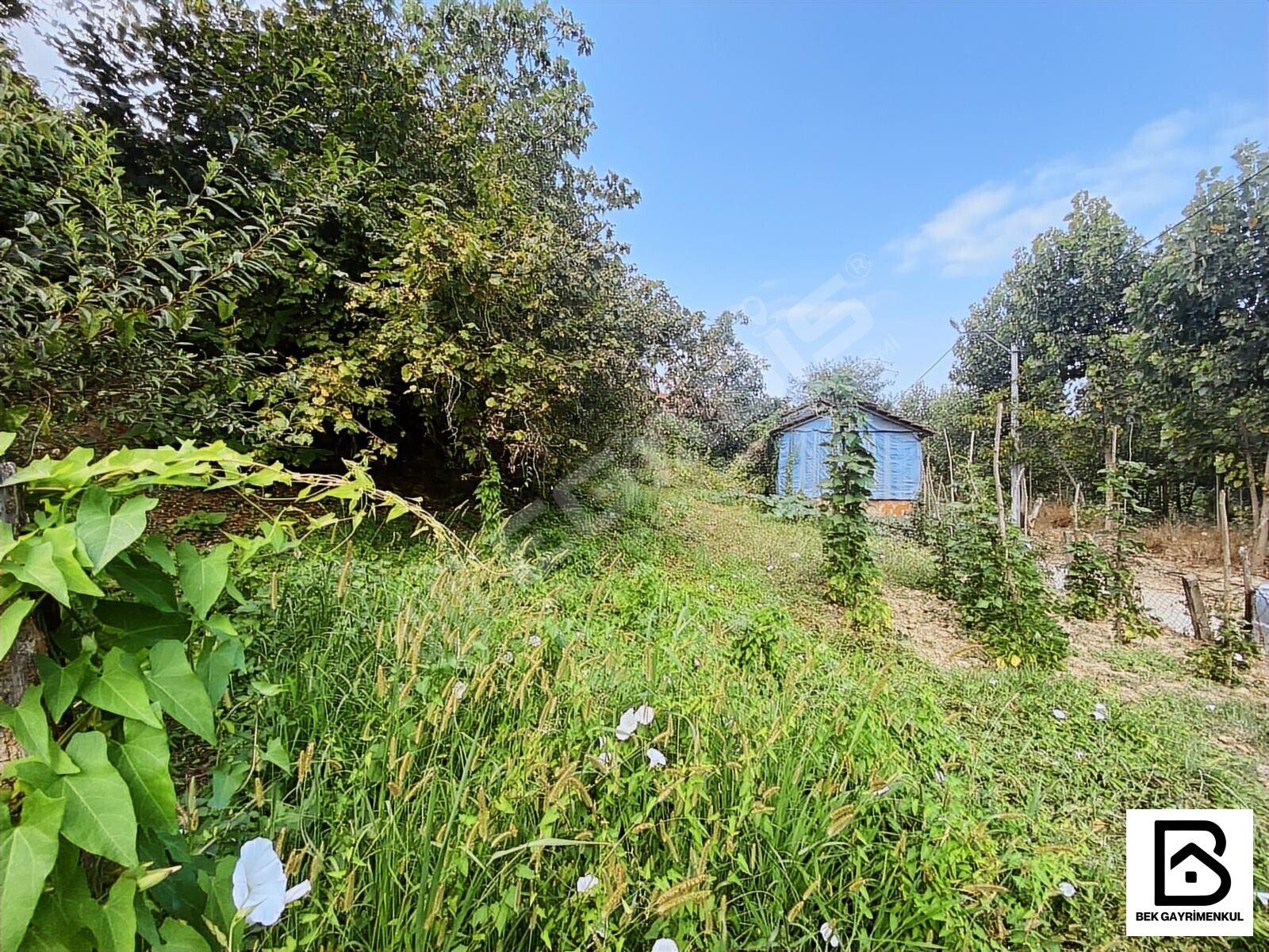 DOĞA İLE İÇ İÇE YOLA CEPHELİ MÜSTAKİL ARSA - 3