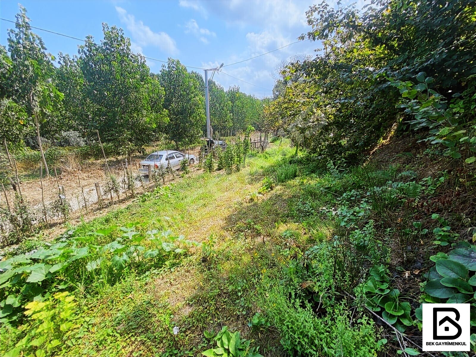 İlan Görseli 2