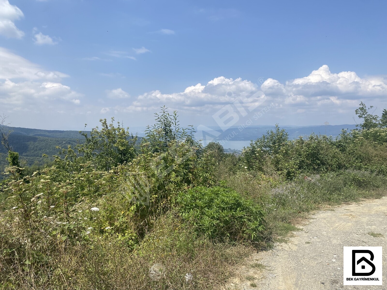 SAPANCA BALKAYA DA GÖL MANZARALI ARSA - 4