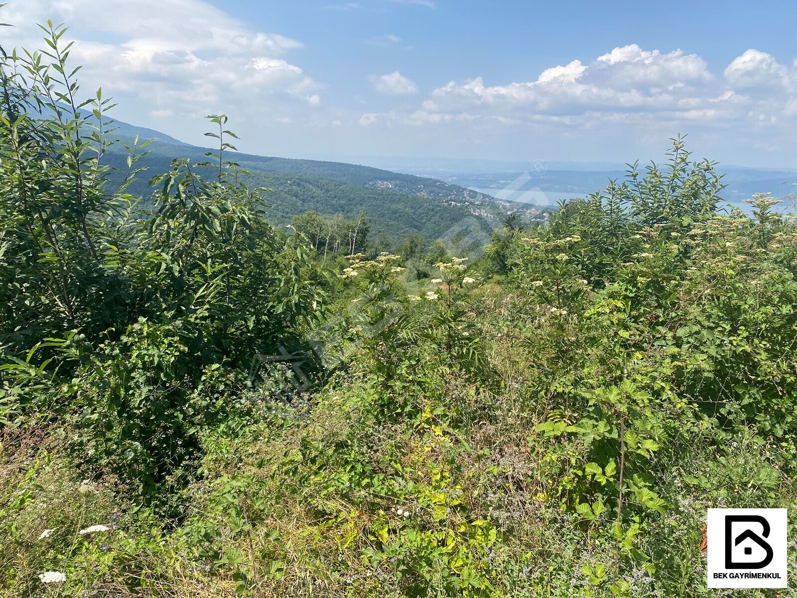 SAPANCA BALKAYA DA GÖL MANZARALI ARSA - 6