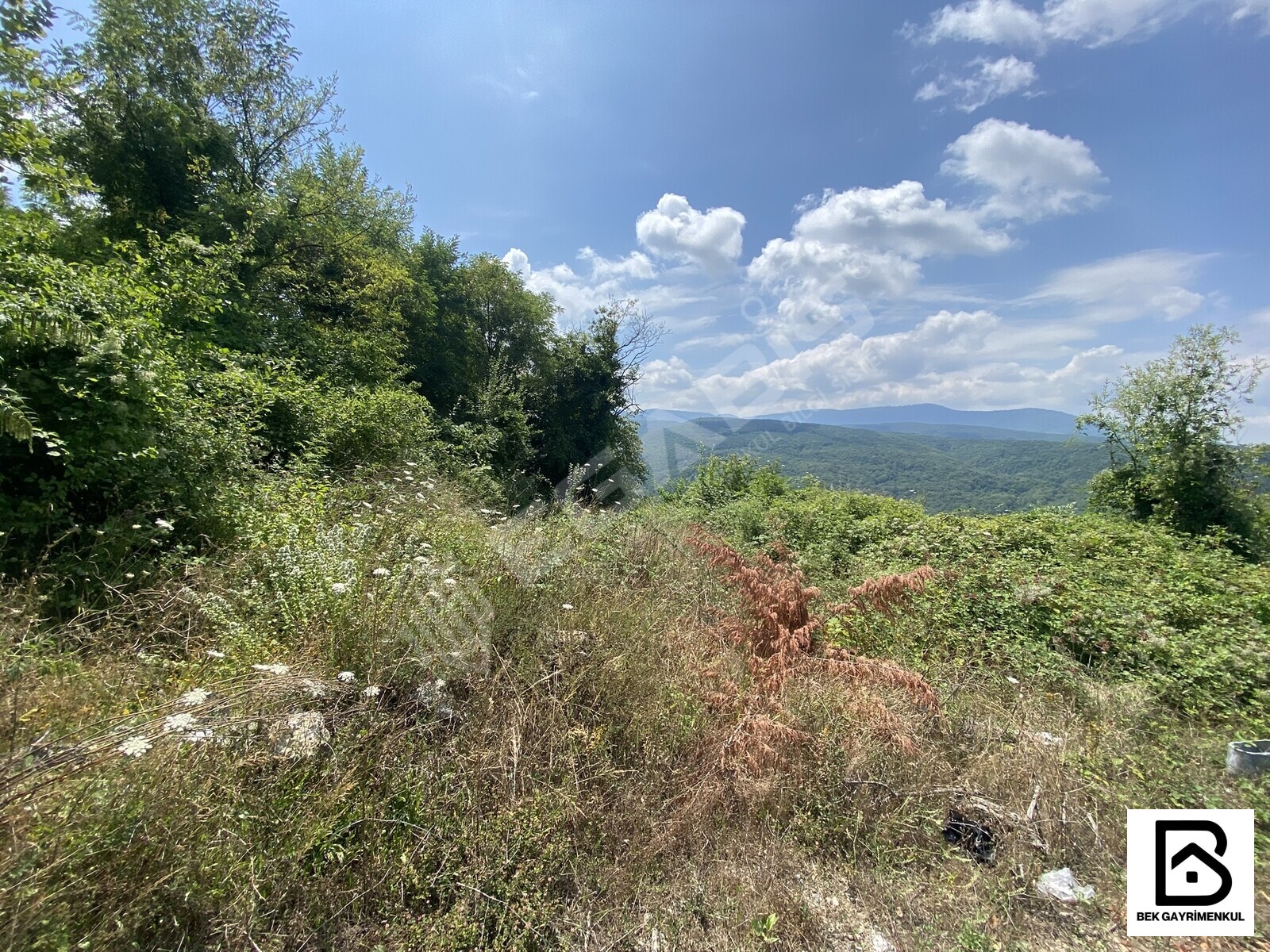 SAPANCA BALKAYADA YOLA CEPHE PARSEL - 3
