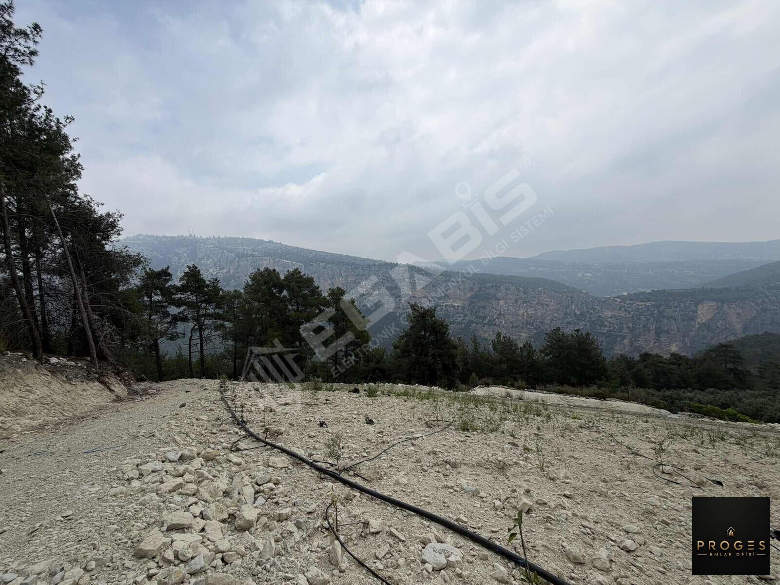PROGESTEN KARAYAKUPTA 3 DÖNÜM ZEYTİNLİK - 6