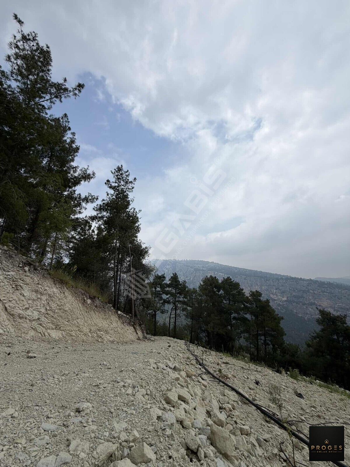 PROGESTEN KARAYAKUPTA 3 DÖNÜM ZEYTİNLİK - 15