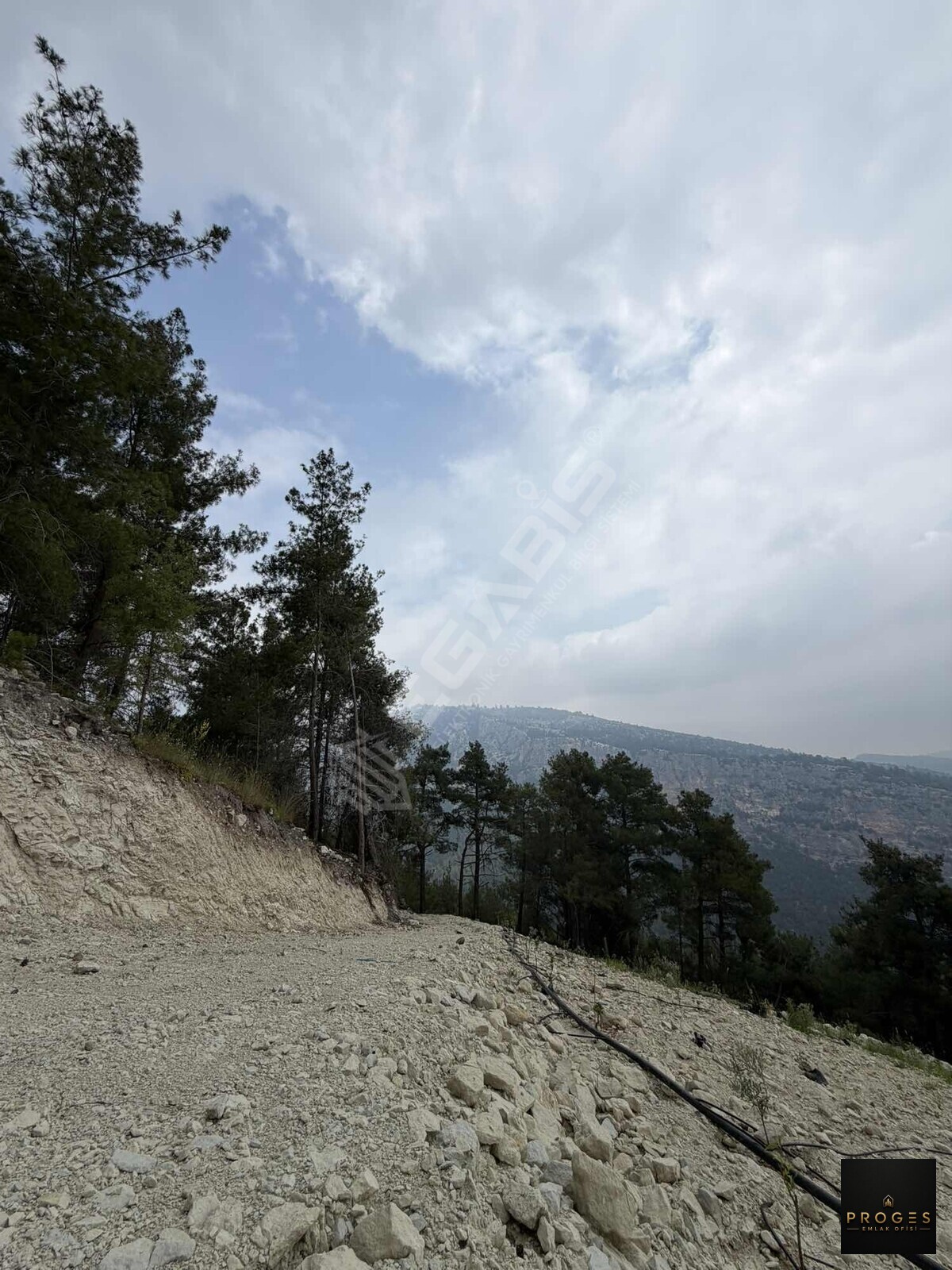 PROGESTEN KARAYAKUPTA 3 DÖNÜM ZEYTİNLİK - 15
