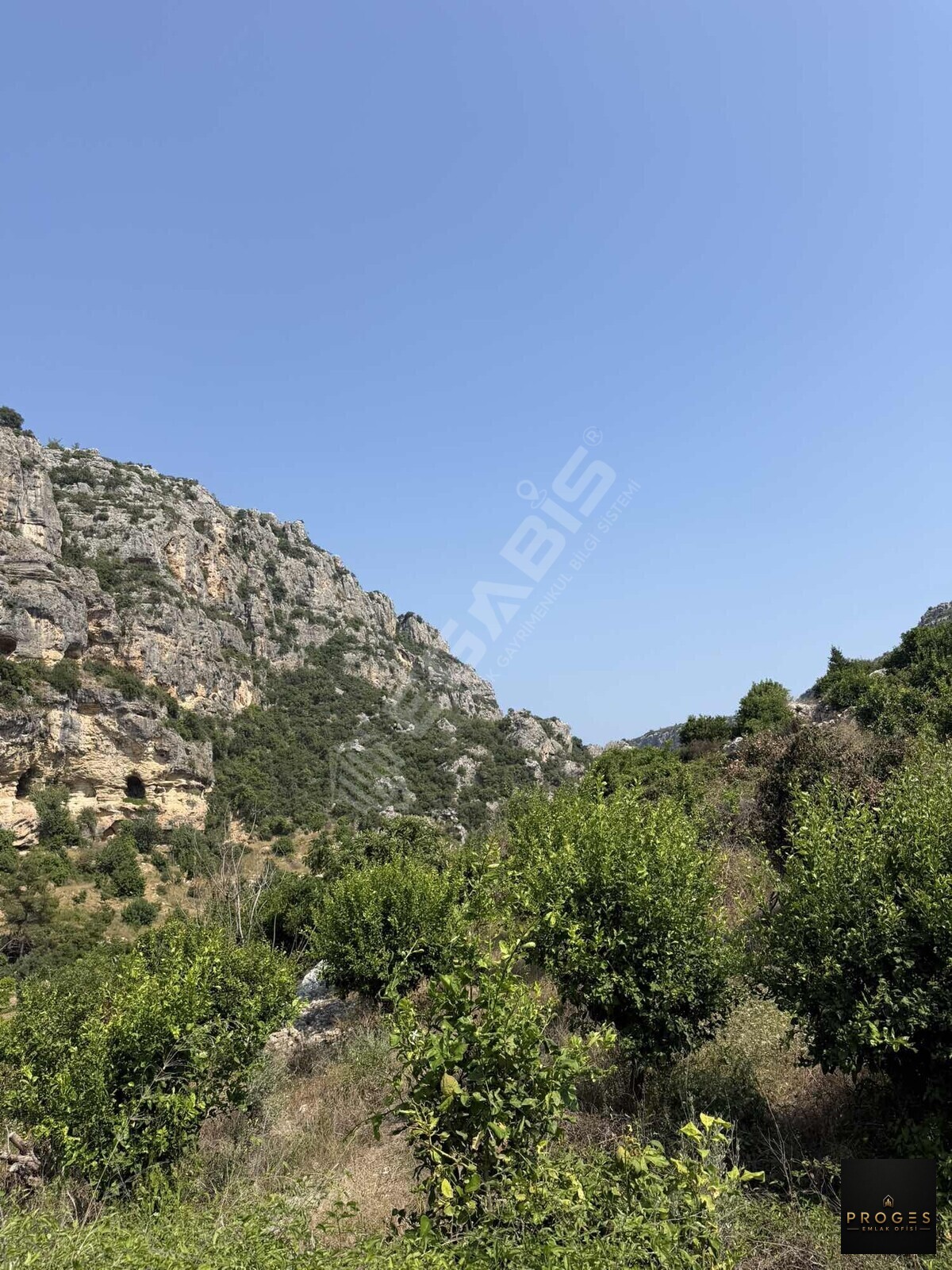 GÜCÜSTE 727 m2 MÜSTAKİL PARSEL - 5
