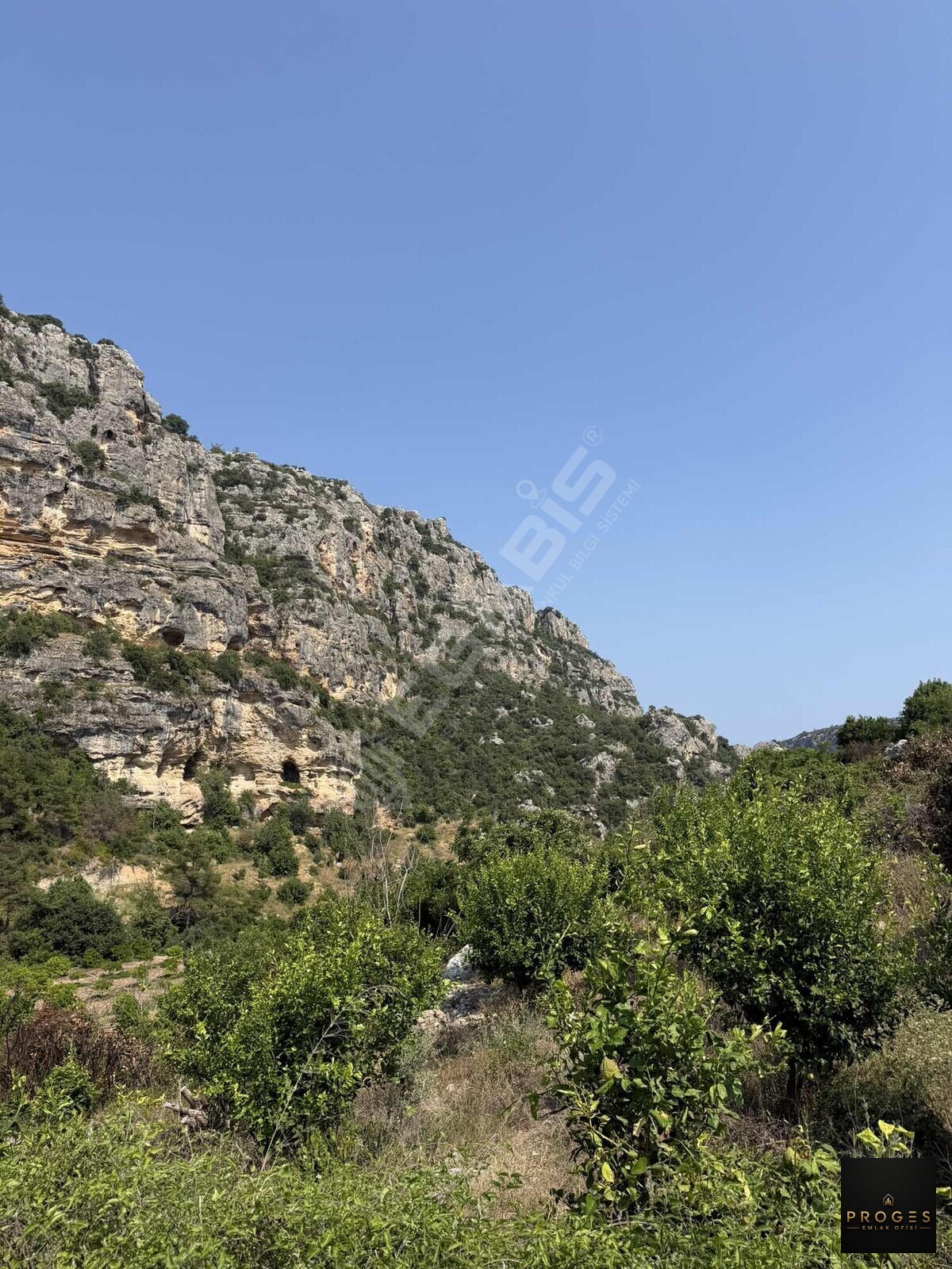 GÜCÜSTE 727 m2 MÜSTAKİL PARSEL - 3