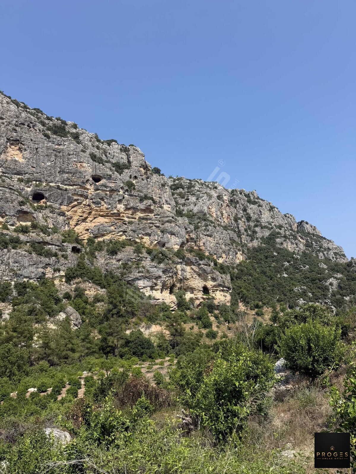 GÜCÜSTE 727 m2 MÜSTAKİL PARSEL - 4