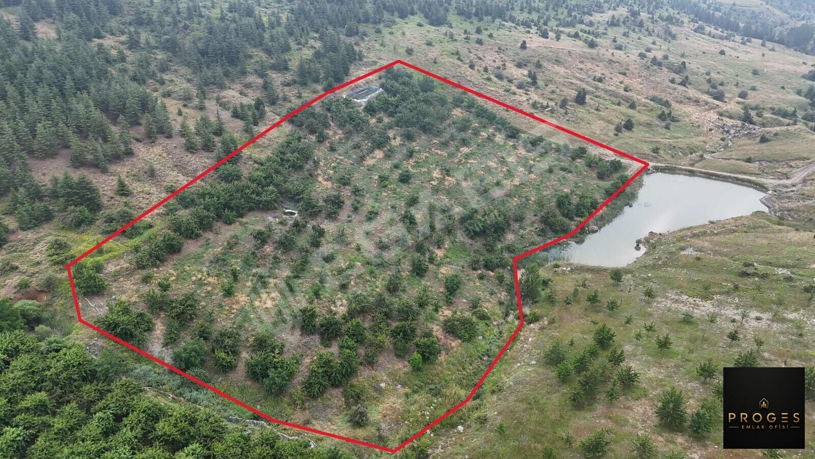 HACIALANI YAYLASINDA 16 DÖNÜM BAHÇESİ TAKASA AÇIK BAHÇE - 3