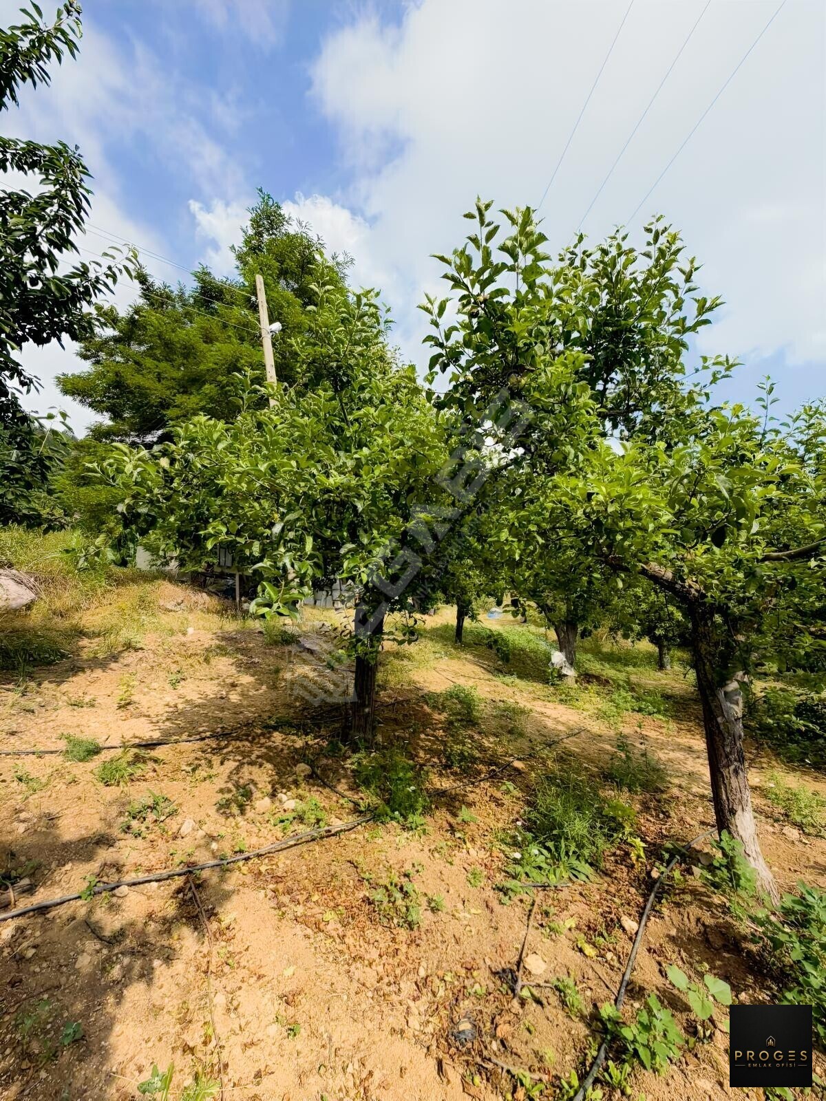 HACIALANI YAYLASINDA 520 M2 MÜSTAKİL GÖLET MANZARALI PARSEL - 24