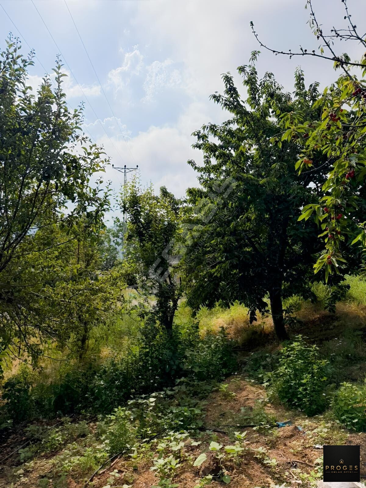 HACIALANI YAYLASINDA 520 M2 MÜSTAKİL GÖLET MANZARALI PARSEL - 25
