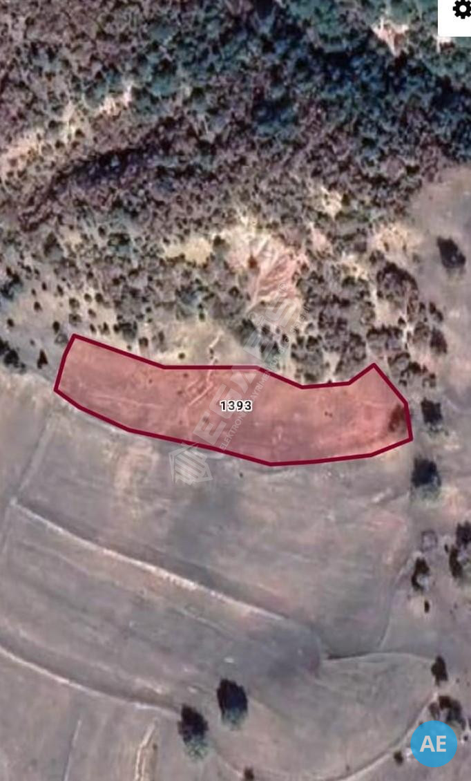 Ankara Nallıhan Bölgesinde Satılık Tarla.