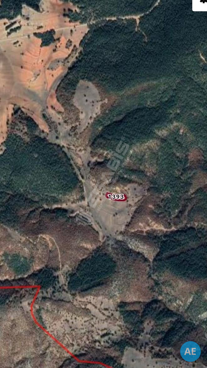 Ankara Nallıhan Bölgesinde Satılık Tarla. - 2